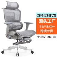 4D Ergonomic Chair with Lumbar Support for Long Sitting, Comfortable Office Chair, Computer Chair, H