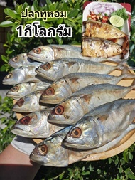 ปลาทูหอมแม่กลองเกรดA - 1กิโลกรัม  /สินค้าตรงปก