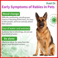 § ● ☋ Xvet Dr Dog and Cat Test Kit RBV Test Paper Rabies Virus Rapid Test Kit For Dog and Cat