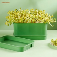 Seed-Sprouter Tray Multifunctional Plant Nurserys Tray For Indoor Office