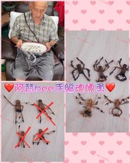 阿贊bee 魂魄勇❤️❤️