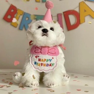 *POP.POP SG Local Stock* Adorable Birthday Bandana & Party Hat for Dog/Cat
