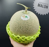 แตงเมล่อนพันธุ์ญี่ปุ่น เนื้อเขียว เนื้อส้ม Japanese Melon メロン (ยกลัง3ลูก) (THAI) 1.5KG UP ต่อลูก ขาย