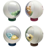 TAMA-KYU Capsule Zohotel × 4 types set full comp Gacha Gacha capsule toy