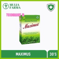 MAXIMUS 30 KAPSUL / PERLANCAR BAB / HERBAL