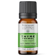 Thyme Thymol Essential Oil (Thymus vulgaris) – Anti-infectious – 100% Pure and Natural – for Oil Dif