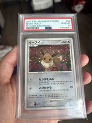 PTCG 伊布 063/DP-P PSA 10
