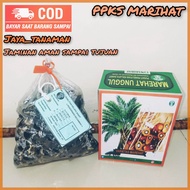 Bibit benih sawit unggul DXP PPKs buah besar medan