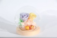 ❗️母親節優惠❗️ 客訂 小熊維尼 Winnie the Pooh Tsum Tsum 迷你 永生花 保鮮花 玻璃罩  母親節禮物