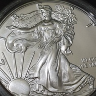 Koin Perak USA Silver Eagle 999 Fine Silver - 1 oz