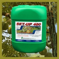 [ORIGINAL] 20L SET-UP 480 GLYPHOSATE 41% RACUN RUMPAI/RACUN RUMPUT LALANG/TOUCH UP / ROUNDUP/HERBICI