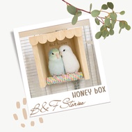 Honey Box Bird Bedroom (Pre3-5 Days)