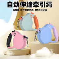 2025 New Product Dog Leash Small Dog Outing Dog Walking Automatic Retractable Leash Dog Supplies