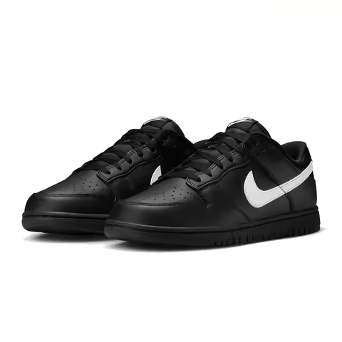 Nike Unisex Flat Rubber Sole Classic Versatile Durable NIKE DUNK LOW IO7606-010