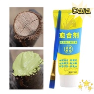 DALIA Tree Wound Sealant, Tree Repair with Brush Grafting Tree Sealer,  Smear Agent 100g Pruning Com