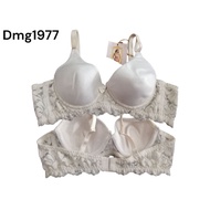 H Dmg1977 branded bra foam underwire bra Rijeck stain size 32A