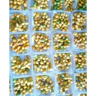 [READY August 2, 2021] Barhi Dates 250gr