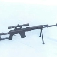 Airsoft Gun Dragonov