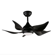 D"Fan - Home Decor ceiling Fan