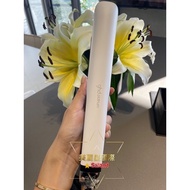 ️ Beautiful Star International GHD Platinum ㄧ Regular Version White American Welfare Products/Produc