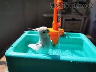 【新品好貨】鸚鵡電動洗澡盆自動水循環玩具鳥沐浴盆虎皮牡丹文鳥小太陽玄風