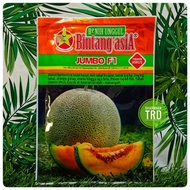 Paket 20g JUMBO F1 Bintang Asia Biji Benih Rock Melon Cantaloupe Seeds Benih Citra Asia Indonesia Ready Stock.