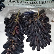 Buah Anggur Hitam Panjang/Sweet Sapphire Seedless/Moondrops 1 Dus