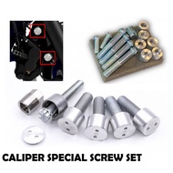 Safety Special Caliper Screw for Kawasaki ER6N ER6F ER6 (R5-G)