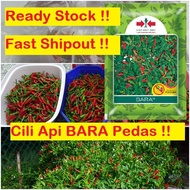 🔥🔥💥💥Benih CILI API BARA PELITA 8 F1 Pedas / cili api kampung pedas / Cili Padi / Cabai (REPACK)