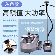 XY3000WLarge Steam Garment Steamer Commercial Home Garment Steamer High-Power Clothing Store Handheld Special Essential