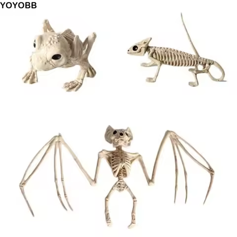 Human Bones Halloween Bats Skeleton Skeleton Model Scary Halloween Animal Skeleton Plastics Bat Mous