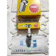 D8EA tiger megapro GL proBUSI NGK