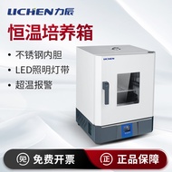 Litchen Technology Electrothermal Constant Temperature Incubator Laboratory Small Bacteria Microbial Tissue Seed Germination Incubator