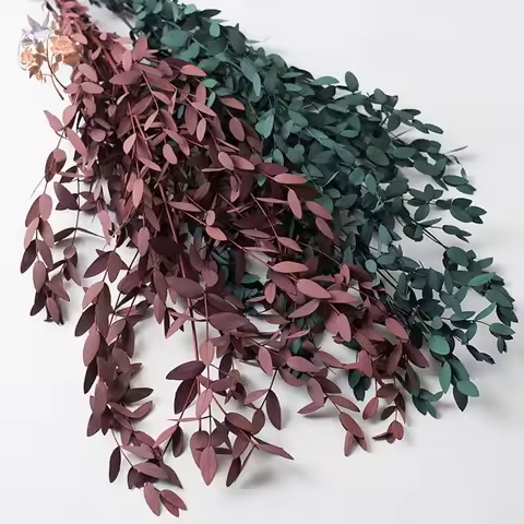 Natural Eucalyptus Leaves Bouquet Preserved Real Leaf Plant Branches Dried Flower For DIY Garland We