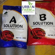 🌱Set Baja A+B 25KG Untuk Fertigasi dan Hidroponik Untuk Pokok Sayuran🌱 Urban Farm