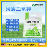 MKP 0-52-34 Baja Bunga & Buah磷酸二氢钾 (MKP) 0-52-34：促进开花结果的高效肥料 Monopotassium Phosphate (MKP) 0-52-34: 