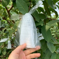 Factory Free Shipping Bag Anti-Insect Anti-Bird Protection Guava Net Sleeve Bag Sleeve Foam Packagin