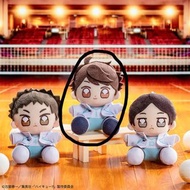2026排球少年Haikyuu!!一番賞 D賞 及川徹