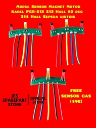 MODUL SENSOR MAGNET MOTOR KABEL PCB-213 213 HALL 60 DEG 314 HALL SEPEDA LISTRIK