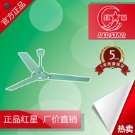 General Agent Wholesale Red Star Household Ceiling Fan FC-140/FC-120/FC-140R