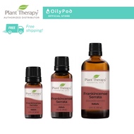 Plant Therapy Frankincense Serrata Essential Oil
