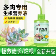 3.47 Readystock Readystock Succulent Fertilizer Dedicated Nutrient Liquid Color-Increasing Fertilize