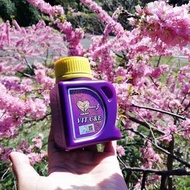 CLEAR STOCK‼️ ORIGINAL HQ DIANZ VITAMIN C&E + free shipping