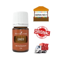 YL Young Living Ginger 5ml Essential Oil