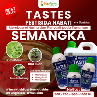 Obat Semprot Hama Semangka / Obat Tanaman Semangka / Obat Semangka / Obat Kriting Daun Semangka / Ob