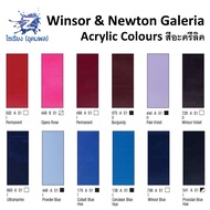 สีอะคริลิค 120ml. Winsor &amp; Newton Galeria Acrylic Colours จำนวน 1 หลอด