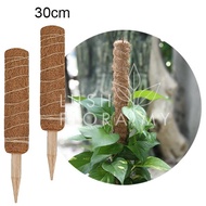 LushFloraMy - GT COCO FIBRE STICK 30CM