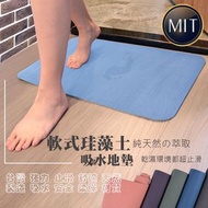 【台灣直送】進階版 Rubber Anne 軟式珪藻土-浴室吸水門口墊(66cm x 44cm)⭐️請認明正品 ⭐️台灣✈️✈️直送✈️✈️香港