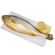 【帥哥魚海鮮】富貴鮮嫩大黃魚3尾組(單隻殺清前600g)