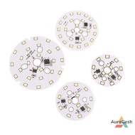 [AuraGesh] 3W 5W 7W 9W 12W 15W AC 220V-240V SMD Cold Warm White Round Lamp Beads For Bulb No Need Driver LED Chip New